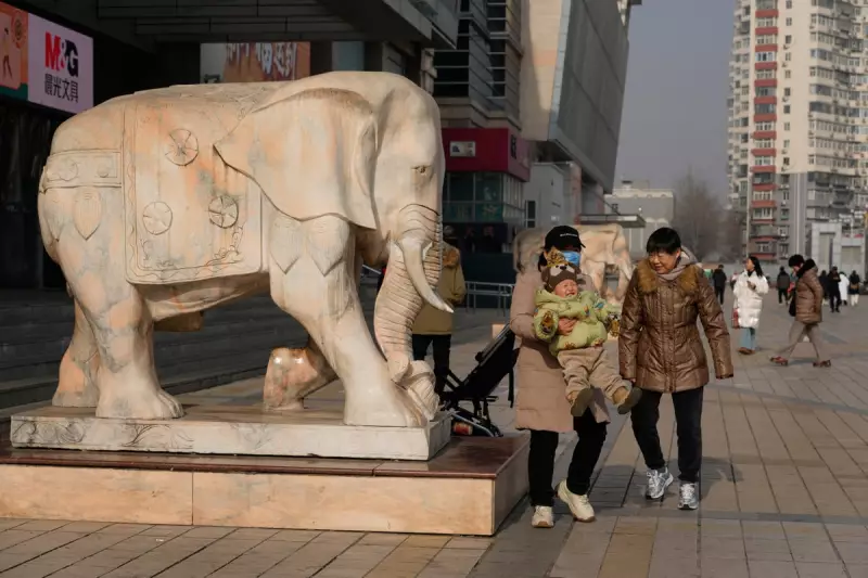 China's Population Shrinks for Fourth Year as Births Plummet 17%