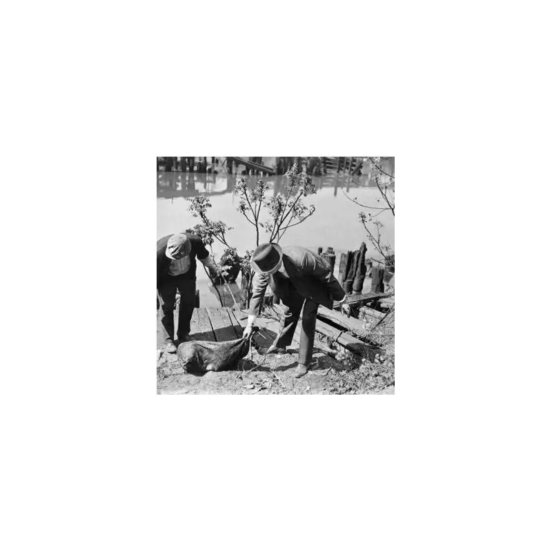 Cleveland's 1930s Torso Murderer: 12+ Beheaded, Dismembered, Unsolved