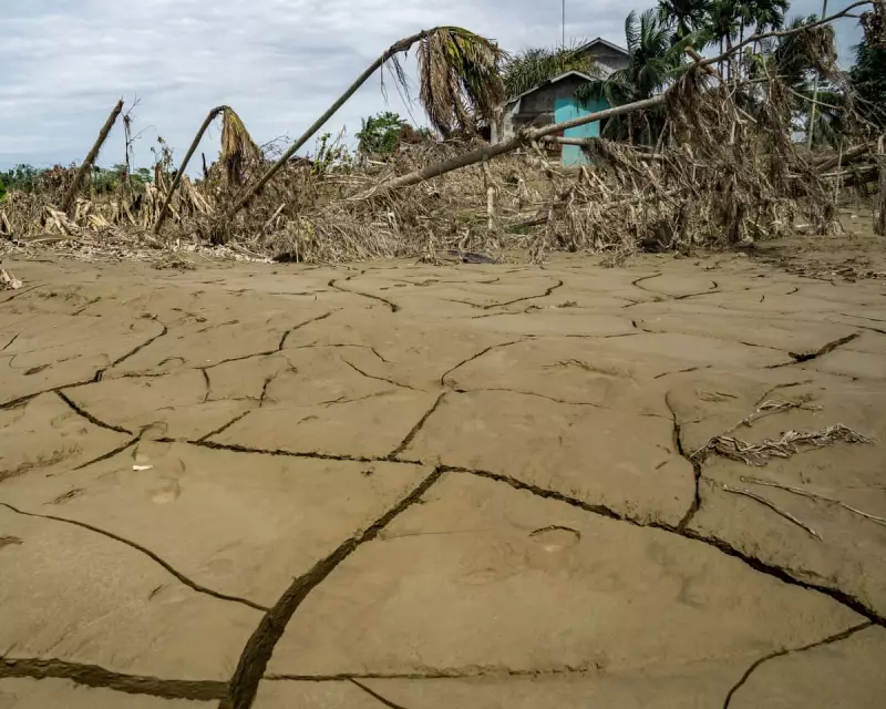 Climate Crisis: Earth's Future Secure, Humanity's at Risk, Experts Warn