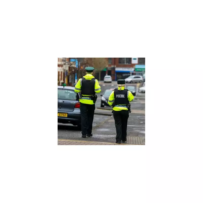 Co Down Traffic Warden Suffers Horror Injuries in 'Appalling' Newcastle Assault