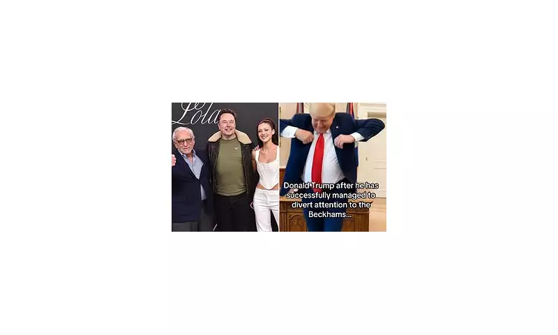 Conspiracy Theories Link Beckham Feud to Trump's Greenland Ambitions