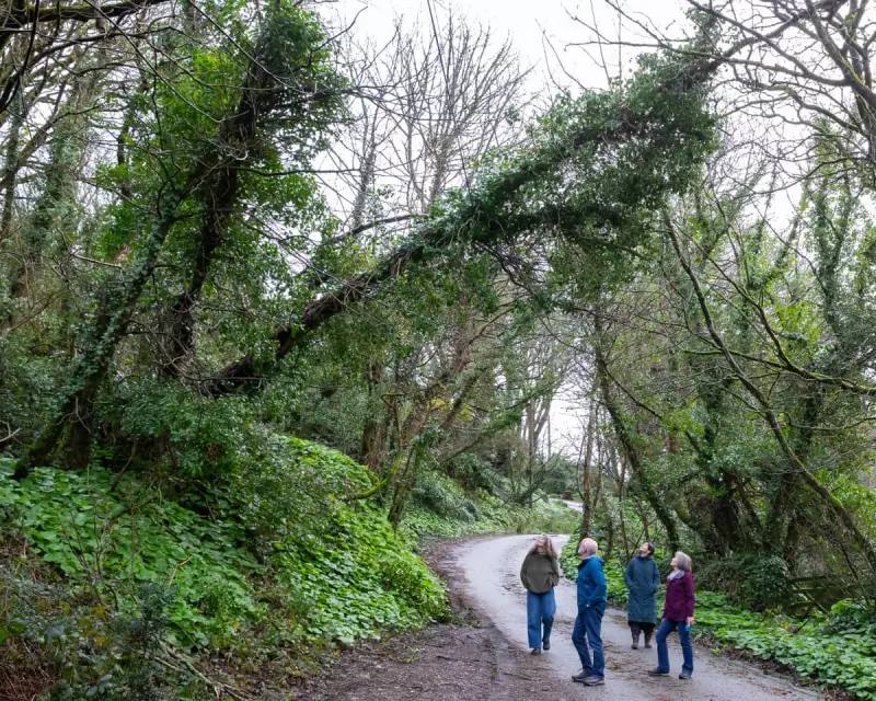 Cornwall's Storm Goretti Fallout: Broadband Outages Spark Infrastructure and Devolution Debate