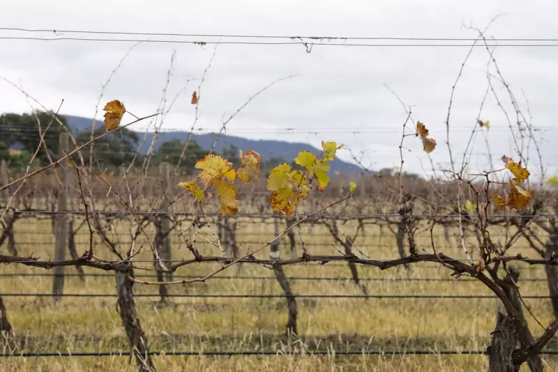 Coroner refers Filipino migrant worker's death to AFP over exploitation claims
