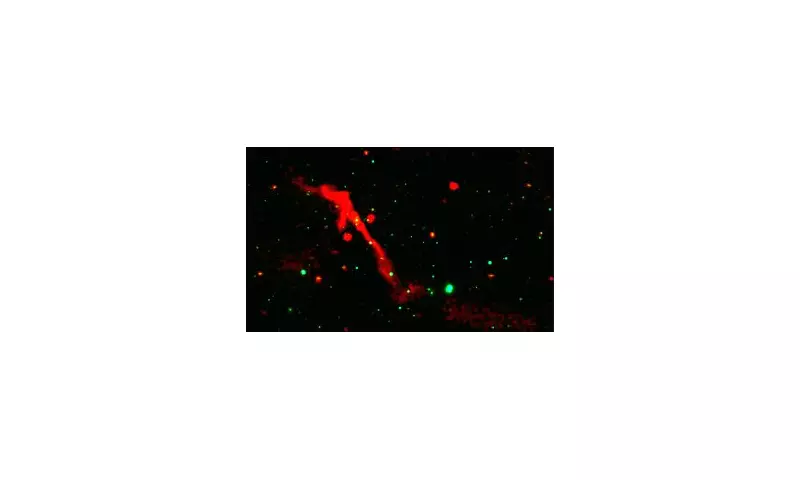 Cosmic Volcano Erupts: Black Hole Awakens After 100 Million Years