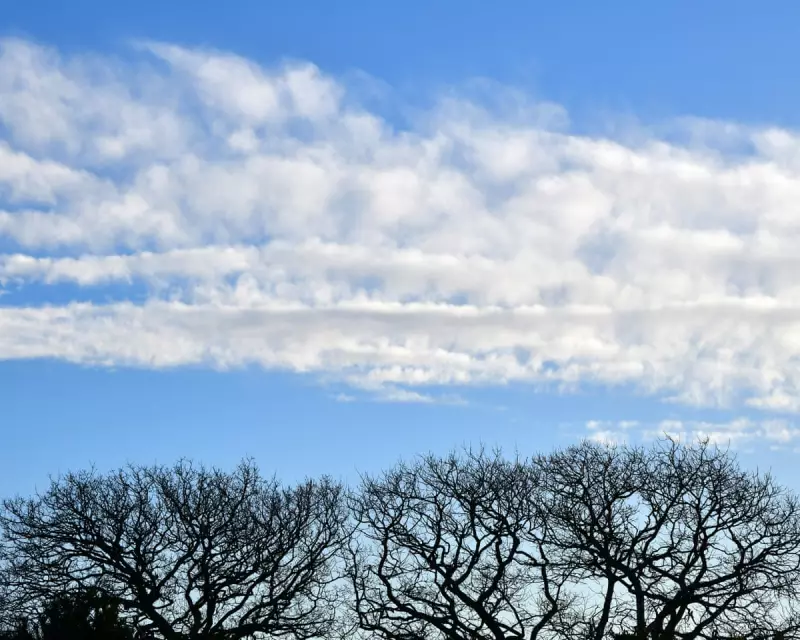 Country Diary: A Frozen Morning in Ceredigion After the Storm