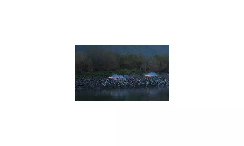 Countryfile viewers blast 'distressing' bird netting footage in latest episode