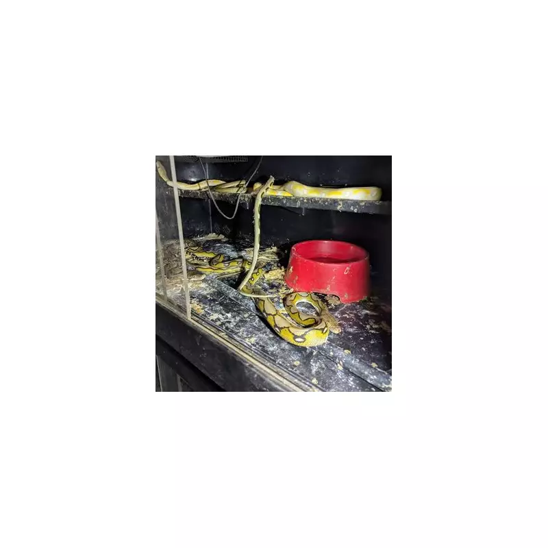 Couple jailed for horrific neglect of 52 dogs and exotic animals in filthy home