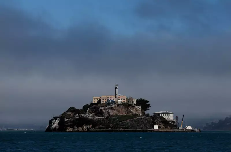 Coyote Makes Historic Swim to Alcatraz, Braving Treacherous San Francisco Bay