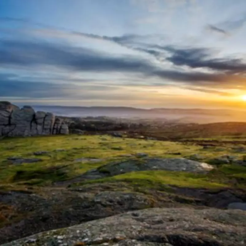 Critically Endangered Amur Leopard Cub Makes Public Debut at UK Zoo