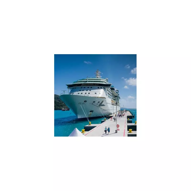 Cruise Packing Alert: Common Electrical Item Will Be Confiscated At Boarding