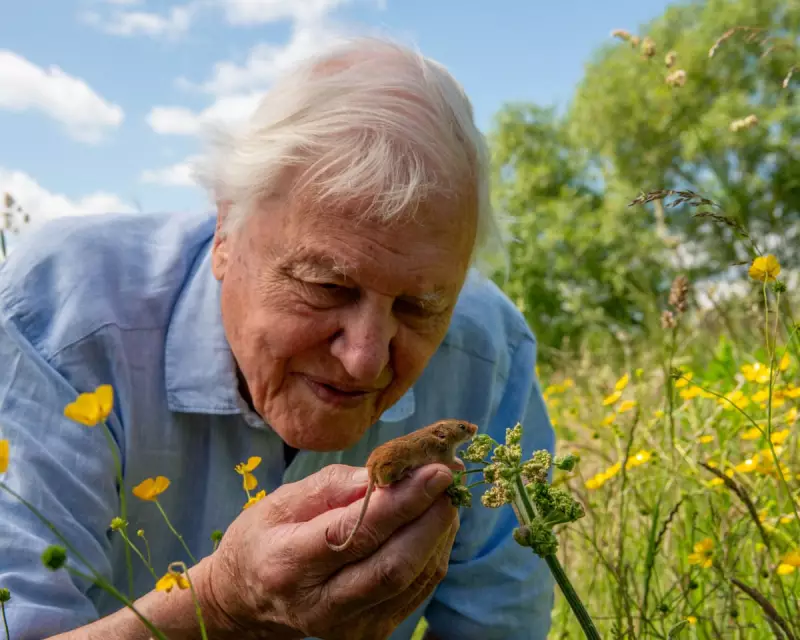 David Attenborough's Wild London Inspires Hope Amid Ecological 'World of Wounds'