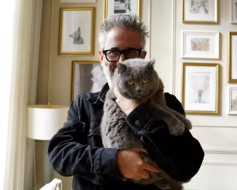 David Baddiel's Cat Man: A Purrfect Tribute to Feline Friends on Channel 4