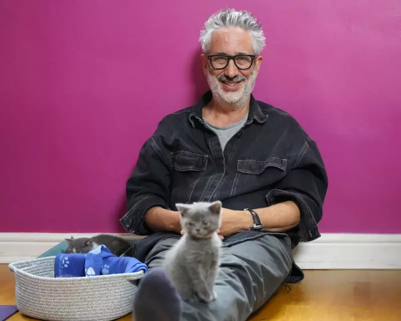 David Baddiel's 'Cat Man' Series Puts Felines First on Channel 4