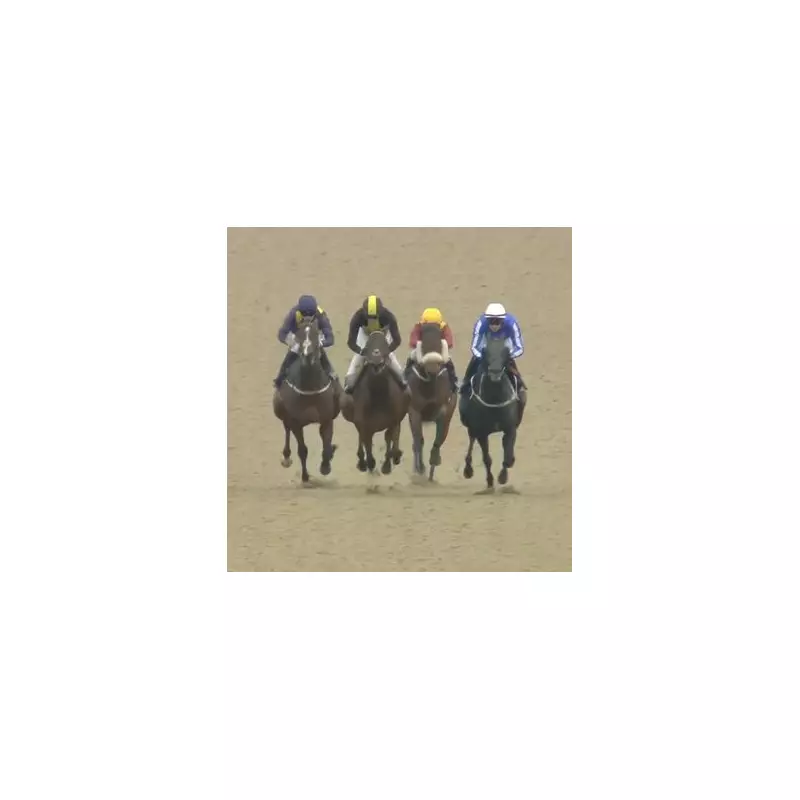 Deer Disrupts Newcastle Horse Race, Stewards Launch Safety Enquiry