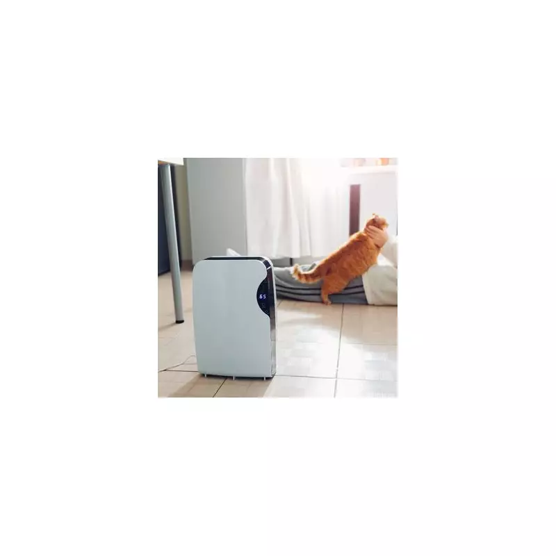 Dehumidifier Mistake That Stops It Removing Condensation 'Effectively'