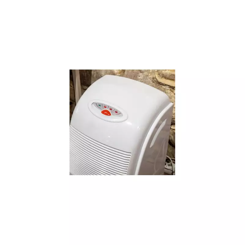 Dehumidifier Warning: Why Your Gadget May Not Fix Damp Homes