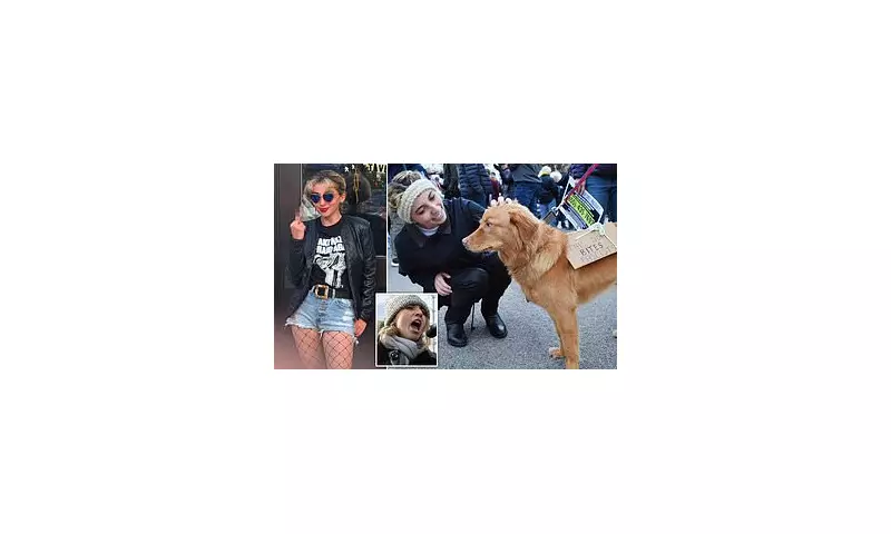 Democrat Candidate's Narcolepsy Explanation for Missed Event Sparks Scrutiny