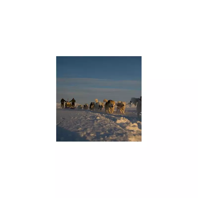 Denmark's Sirius Dog Sled Patrol: Greenland's Elite Defence in -55C Arctic