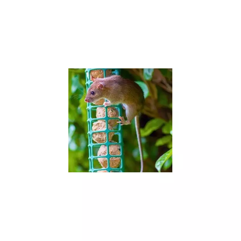 Deter Garden Rats & Mice with a Simple Cayenne Pepper Spray This Winter