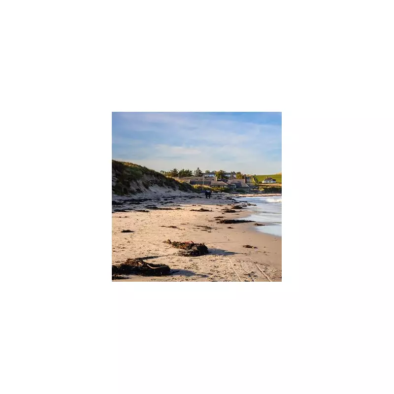 Discover Low Newton-by-the-Sea: Northumberland's Hidden Gem with 30+ Miles of Beach