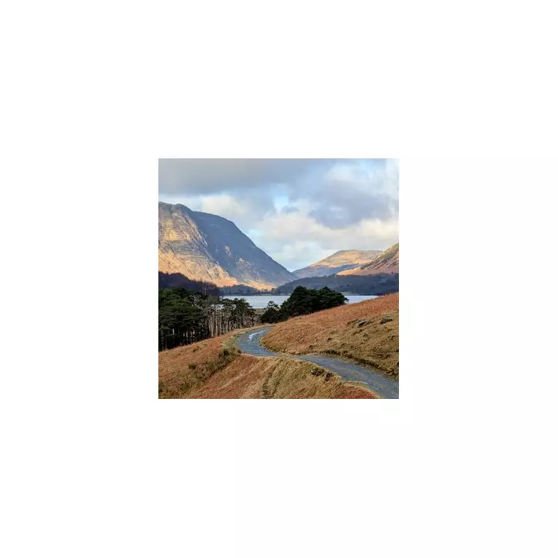 Discover the Buttermere Circular: An Easy Lake District Walk with Highland Cows