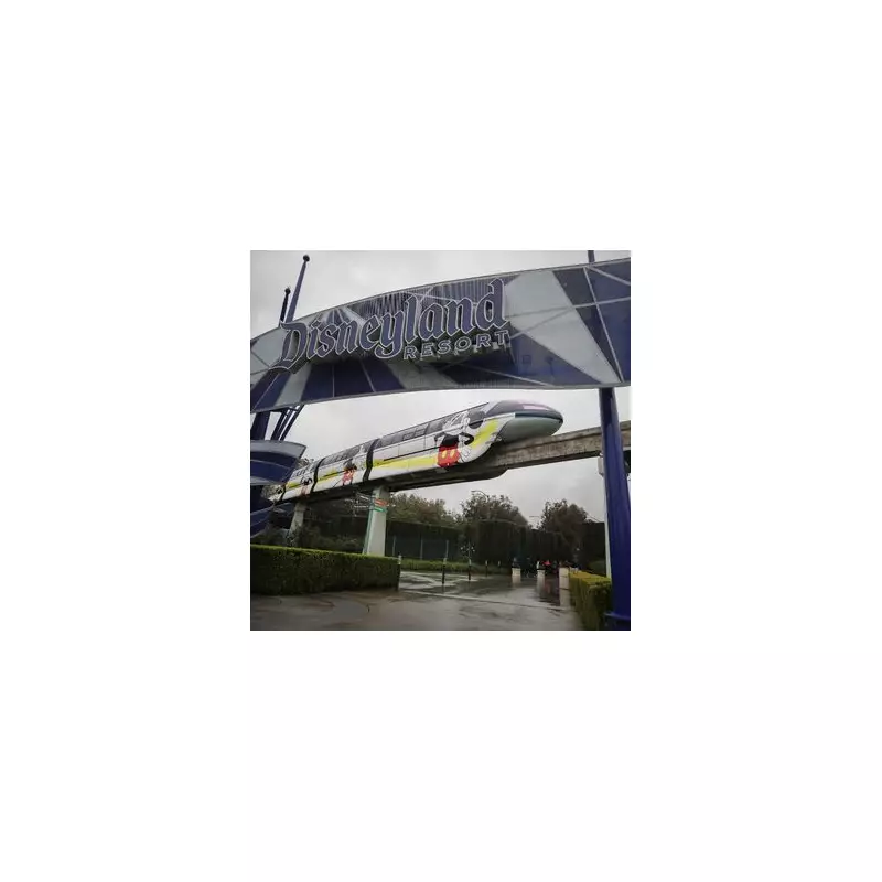 Disneyland Monorail Evacuated: 60 Passengers Rescued After Power Outage