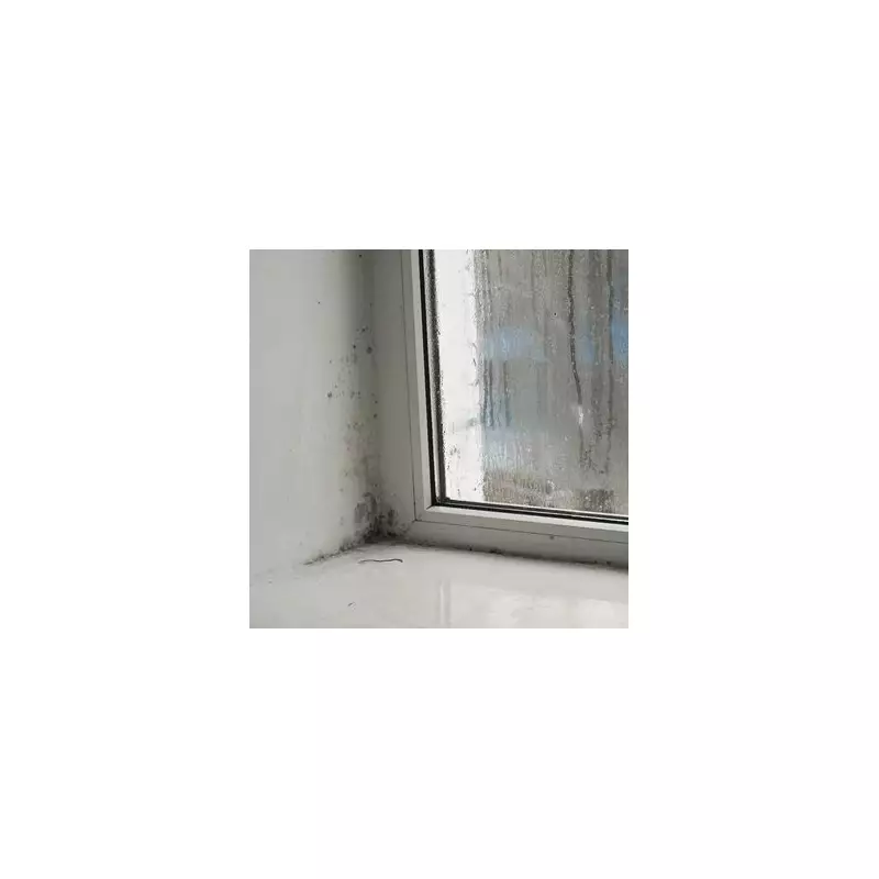 Ditch Bleach for Vinegar: Expert's Natural Method to Clear Mould from Windows