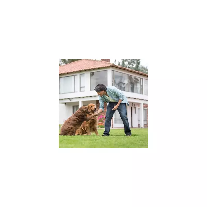 Dog Trainer Warns Families About Breeds That 'Rarely Make Good Pets'