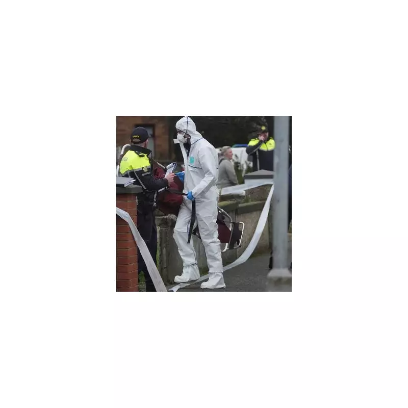 Dublin father and son found dead in suspected murder-suicide after earlier missing persons alert