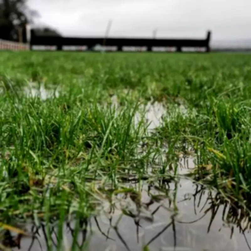 Dublin Racing Festival Hopes for Sunday Luck After Heavy Rainfall Forces Day One Abandonment