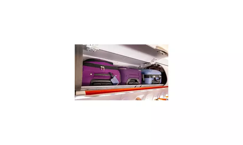 EasyJet Cabin Bag Ad Banned by ASA for Misleading 'From £5.99' Price Claim