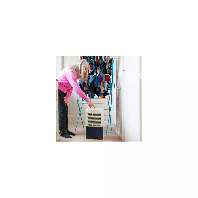 Ebac's 10 Rules: Best Direction for Your Dehumidifier to Fight Damp