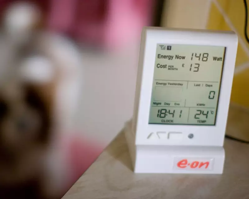 E.ON's £3,360 Smart Meter Blunder Leaves Bereaved Customer in Billing Chaos