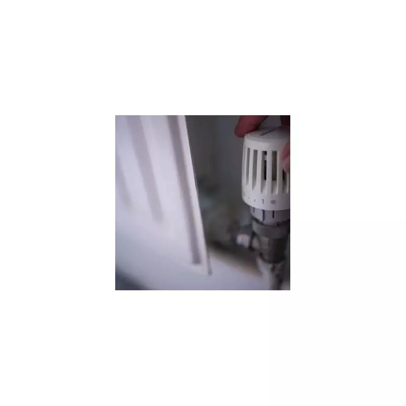 E.ON's £90 Heating Alert: Simple Radiator Changes & One Degree Thermostat Tip