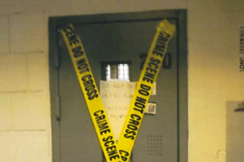 Epstein Document Dump Reveals Jail Cell Photos and Trump Wikipedia Page