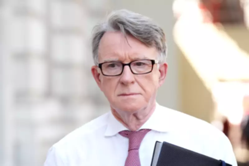 Epstein Sent £10,000 to Mandelson's Husband After Prison Release, Files Show