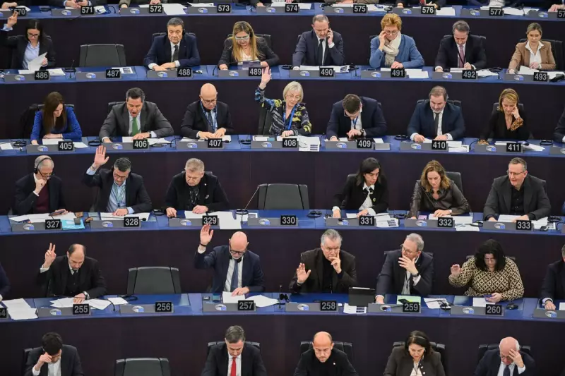EU Commission Signals Readiness to Implement Mercosur Trade Deal Despite Parliamentary Delay