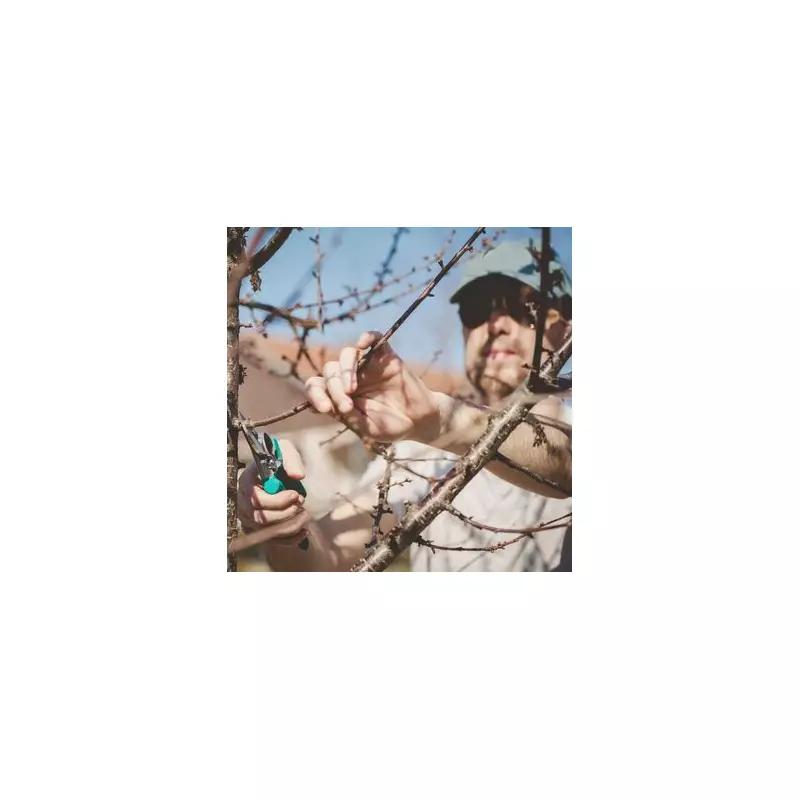 Expert Gardener's Guide: 6 Essential Plants to Prune in January for Lush Spring Growth