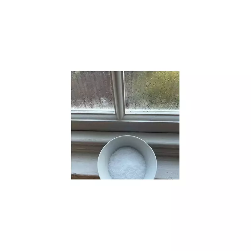 Expert's Simple Salt Bowl Trick to Stop Winter Mould and Condensation