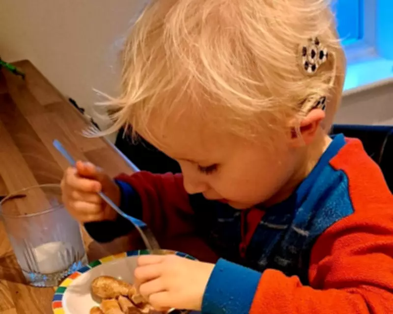 Family's Fight for Special Needs Education Amid England's Send Overhaul