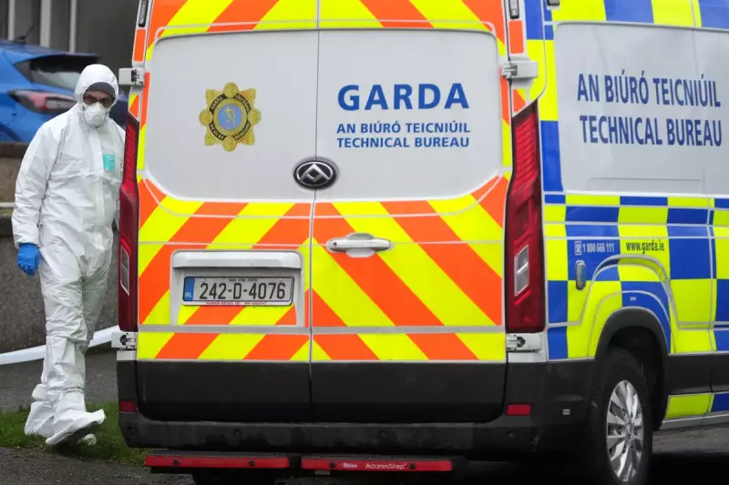Father and Son, 12, Found Dead in West Dublin in Suspected Murder-Suicide