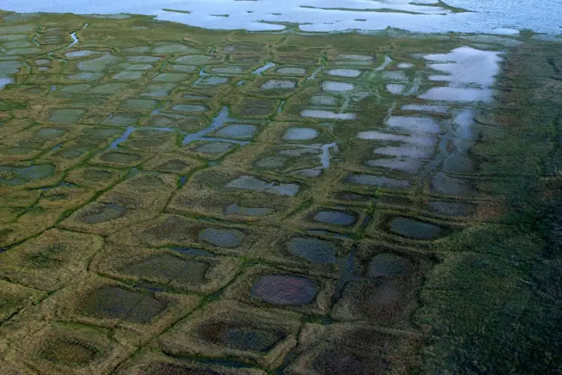 Federal Judge Allows Winter Drilling in Alaska Petroleum Reserve to Proceed