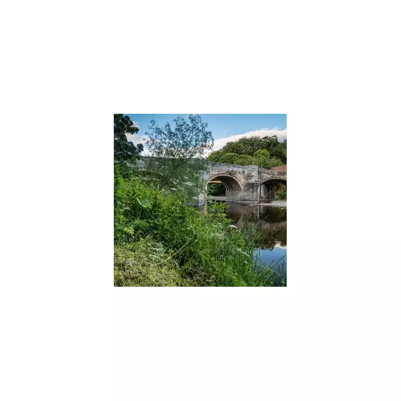 Felton: Northumberland's Historic Village with Cosy Bakeries and Riverside Charm