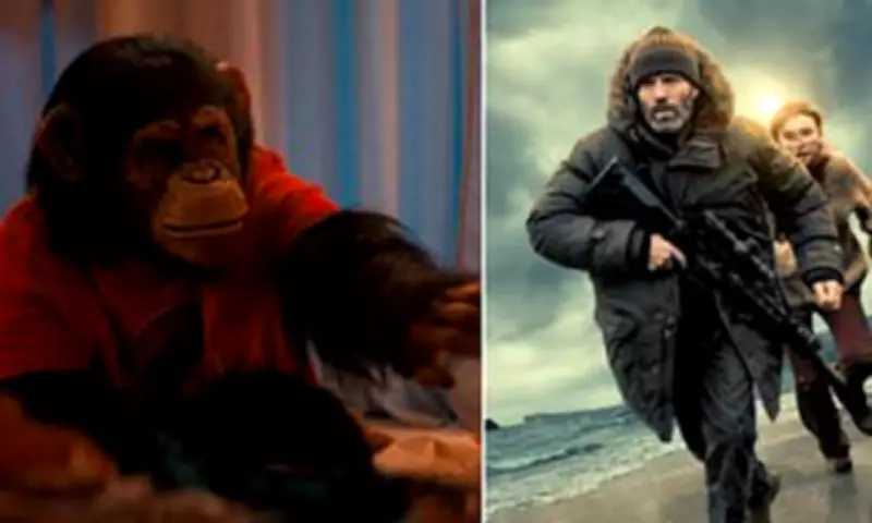 Film Reviews: Shelter, Primate and Is This Thing On? Hit Cinemas