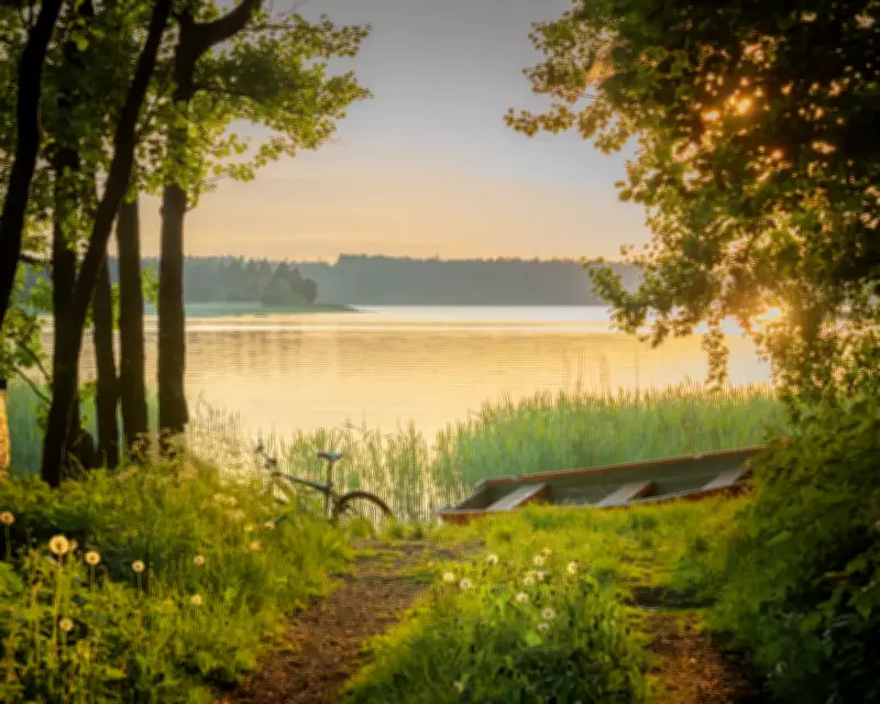 Finland's Happiness Secrets: Nature, Saunas, and Low Expectations