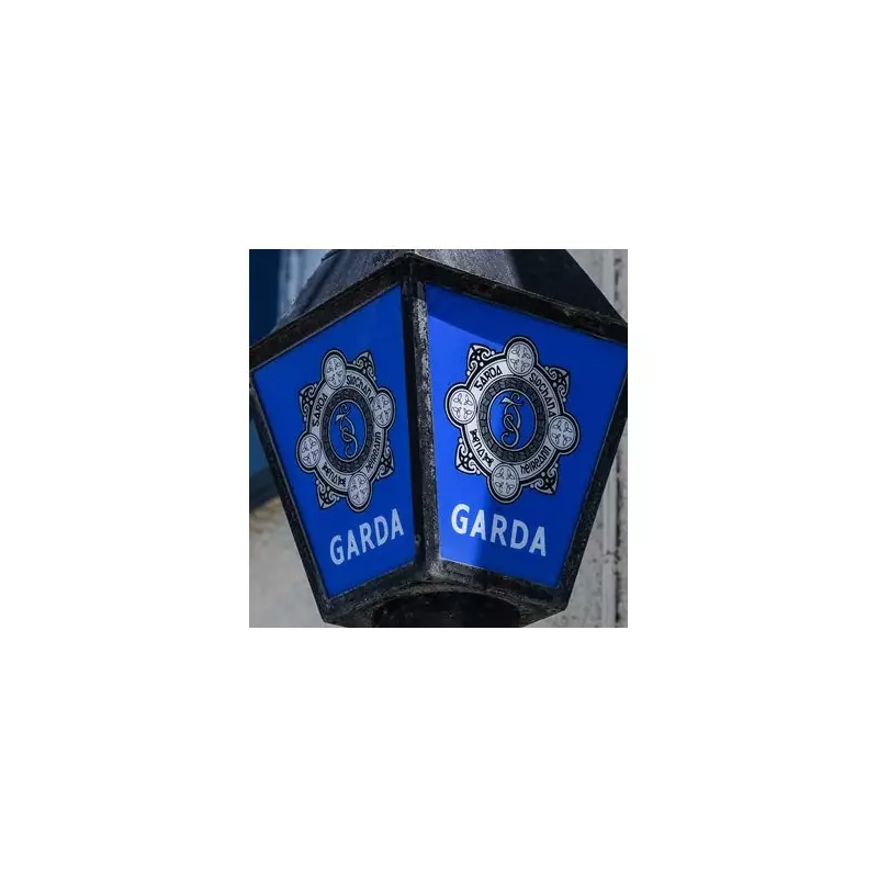 Five Boys Arrested Over Alleged Gang Sex Attack on Teenage Girl in Dublin