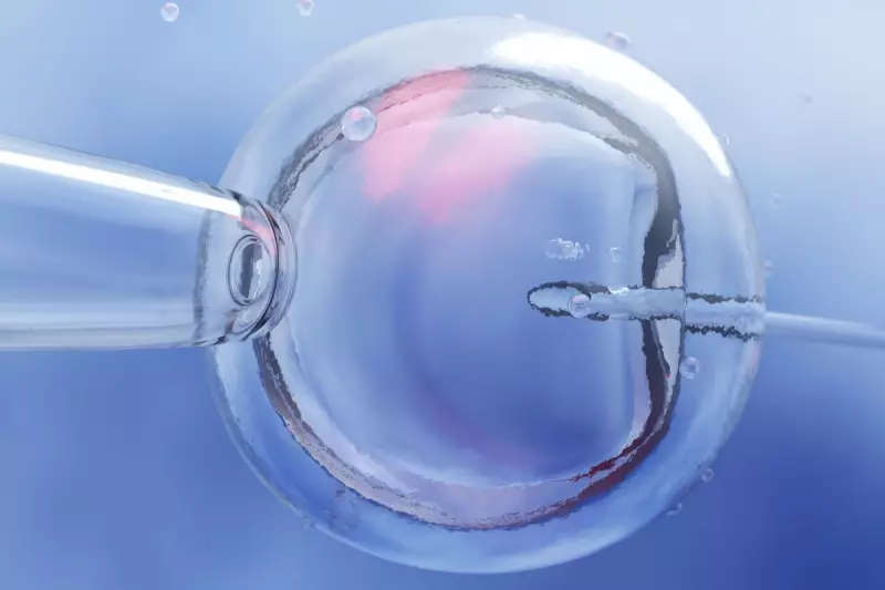 Florida IVF Clinic Sued After Embryo Mix-Up Leads to Birth of Non-Biological Child