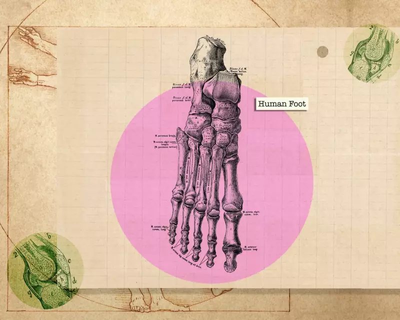 Foot Health Neglected: A Quarter of Your Bones Are in Your Feet