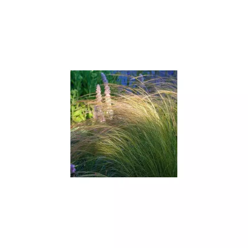 Four Effortless Garden Plants That Slash Water Bills and Maintenance Time