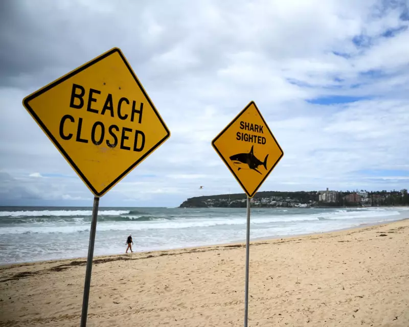 Fourth NSW Shark Attack in 48 Hours: Surfer Bitten Near Port Macquarie